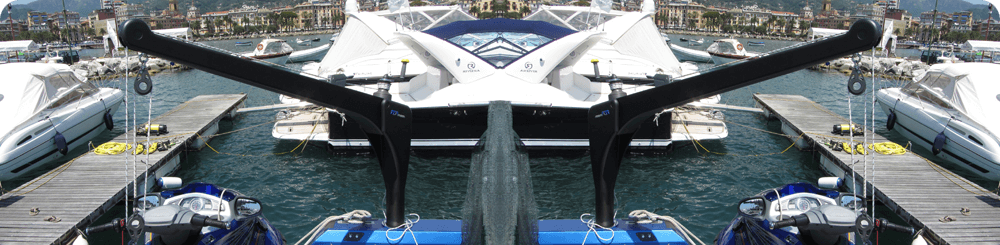 Carbon davits to lift heavy jet ski 